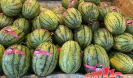 吃瓜爆料柳州视频大全集,视频大全集精彩回顾